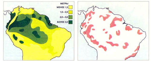 Картосхемы среднегодового количества осадков (слева) и ареалов различных видов бабочек (справа) показывают, что изолированные ««островки»», занимаемые отдельными видами, в целом совпадают с «пятнами» наибольшей влажности; часть из них приходится на возвышенности (не показаны). Эта корреляция (впервые отмеченная среди птиц) привела ученых к мысли о том, что изолированные области, занимаемые разными видами, возникли давно, возможно, в последний ледниковый период (70&nbsp;000 — 10&nbsp;000 лет назад). Первоначальная гипотеза утверждала, что во время оледенений низменные участки были аридными, а более влажные возвышенности превращались в рефугии (убежища») для различных видов. Эти виды развивались в изоляции и продолжали жить обособленно тогда, когда лес между «убежищами» восстанавливался. Новые данные позволяют предположить, что в этих гипотетических «убежищах» в ледниковом периоде было на самом деле слишком холодно, чтобы там могли существовать дождевые леса; на самом деле леса сохранялись, вероятно, в отдельных частях теплых низменных районов, которые вовсе не становились аридными. Эти новые выводы опровергают теорию рефугий, но согласуются с предположением, что климат в Амазонии испытывал значительные колебания