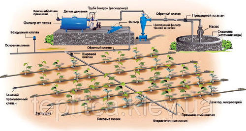 автоматический капельный полив в украине